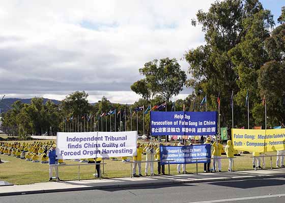 反迫害25年　澳洲法輪功學員首都集會