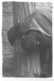 '身子朝下銬在樹上'