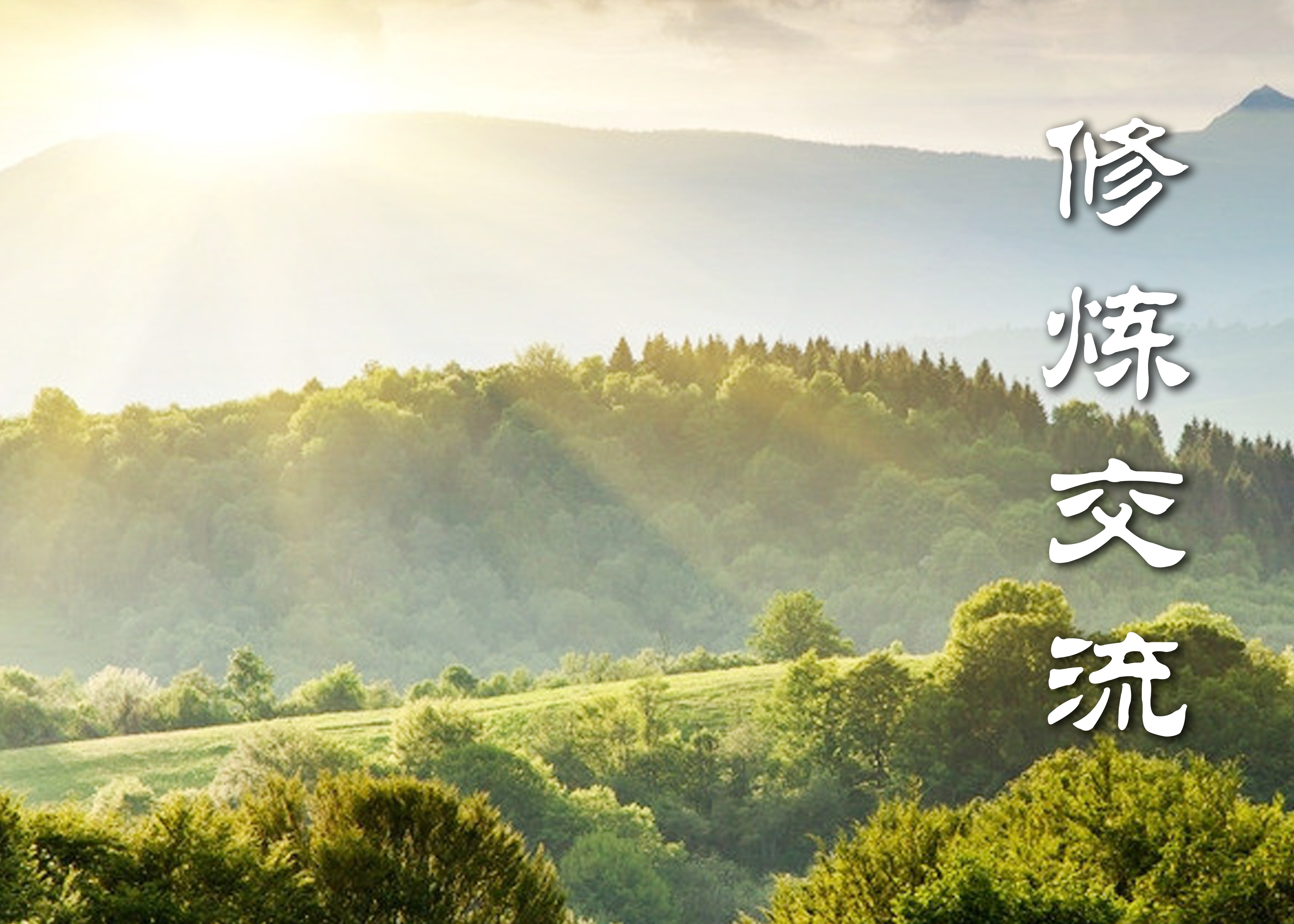 我的明慧緣