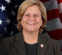 圖1：決議案發起人羅斯-雷婷恩