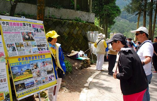 '圖6-7，中國大陸遊客在阿里山景點看法輪功真相展板'