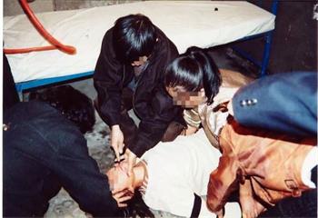 '野蠻灌食示意圖'